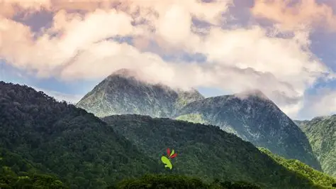 Produit du terroir martiniquais, boutique en ligne antillaise paysage naturel livraison de produit locaux